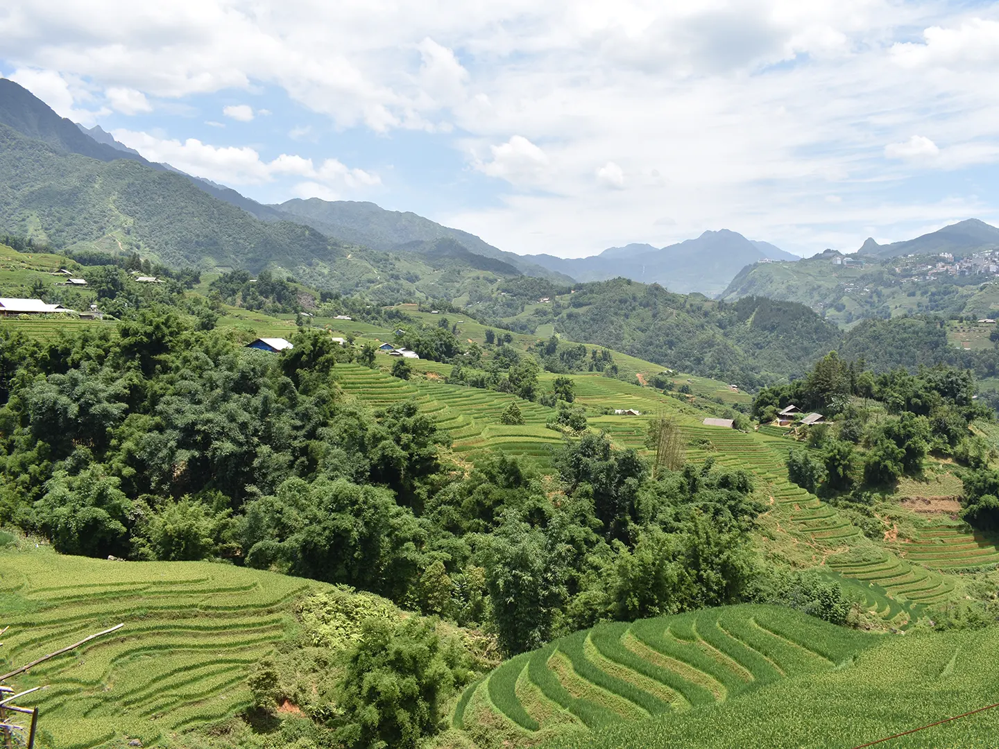 1-Day Easy Trekking in Sapa through Muong Hoa Valley
