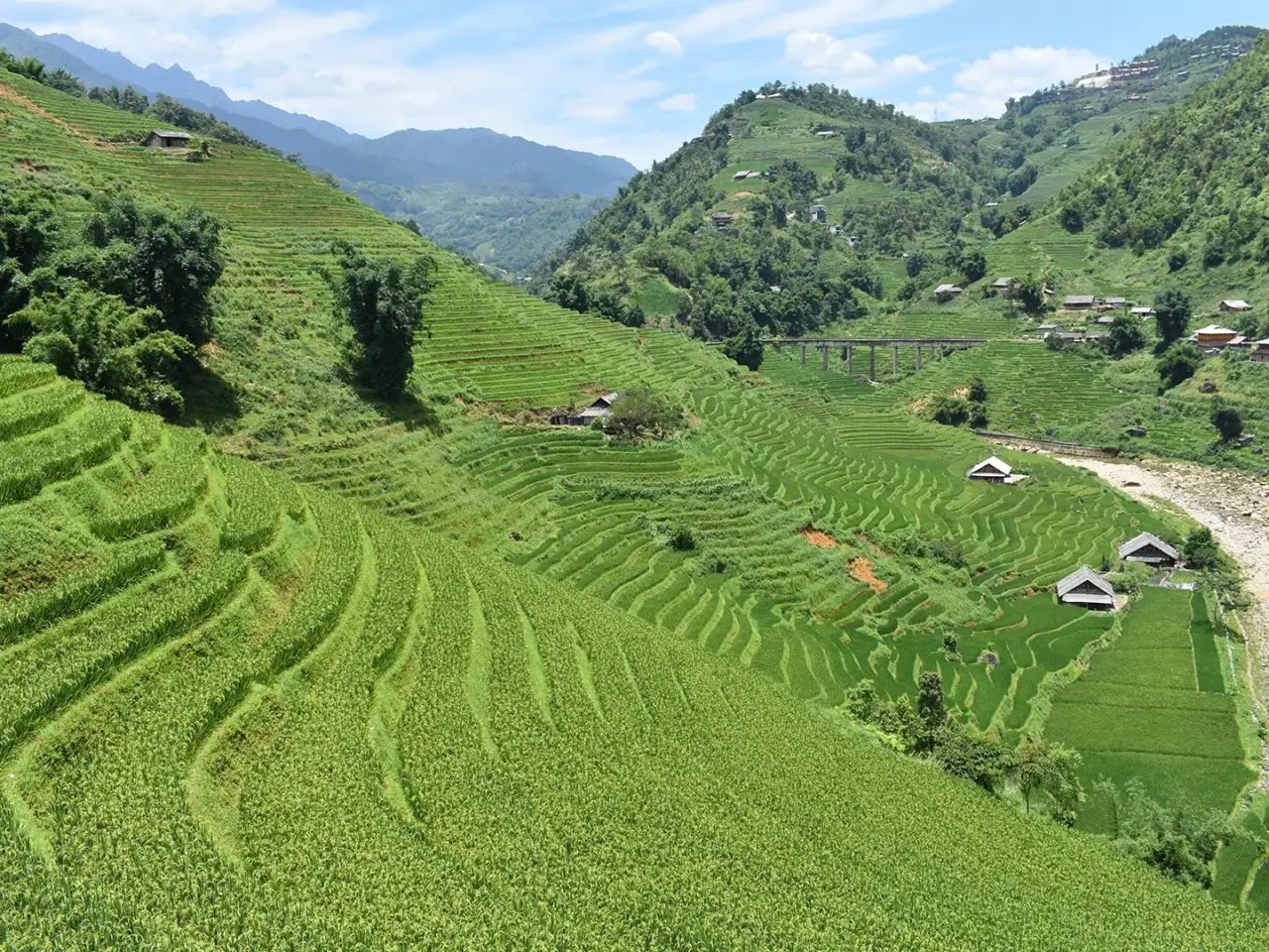 1-Day Easy Trekking in Sapa through Muong Hoa Valley