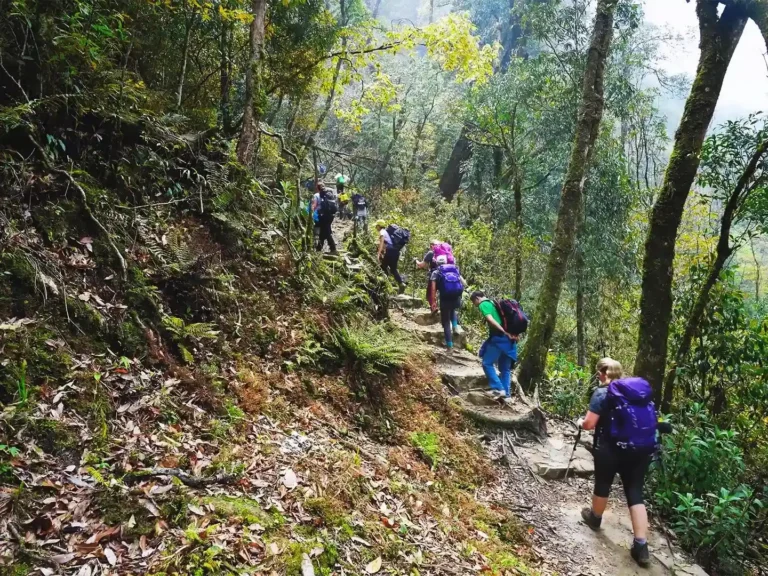 FULL DAY FANSIPAN TREKKING TOUR – RETURN BY CABLE CAR