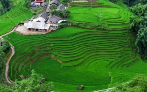 Sapa Trekking Tour Prices