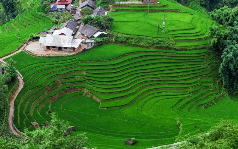 Sapa Trekking Tour Prices 1 Sapa Trekking Tour Prices