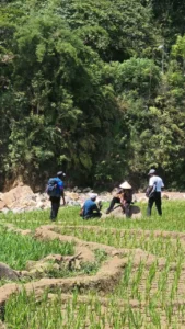 Sapa Pathfinder Travel