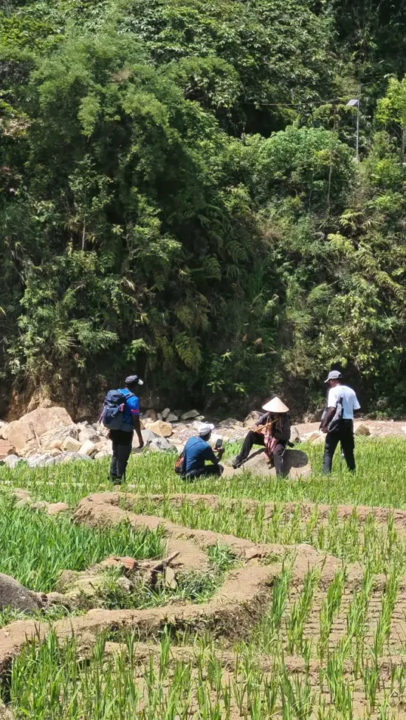 Best Sapa Trekking Tours, Complete Guide for First-Time Visitors 1 Sapa Pathfinder Travel