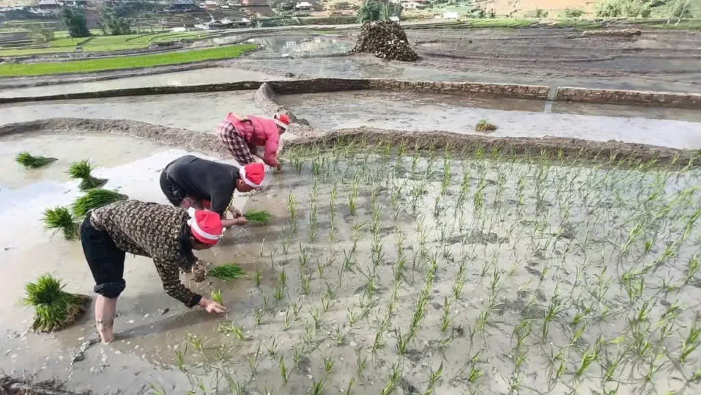 Giay Ethnic Culture in Ta Van 1 Sapa Pathfinder Travel.Sapa Trekking Tour