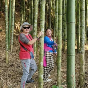 Sapa one day trekking tour – 1 days 1 night