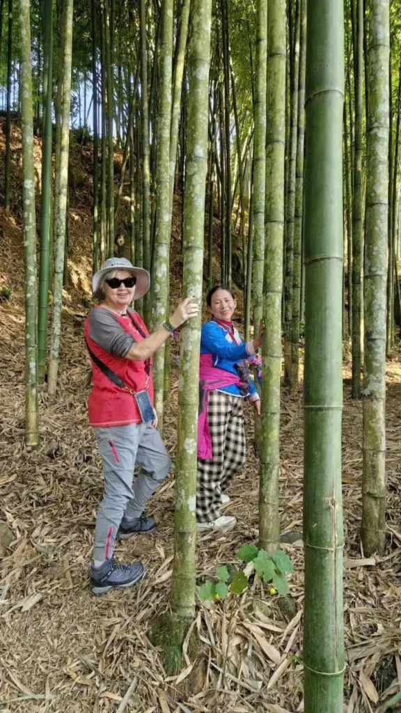 Sapa one day trekking tour – 1 days 1 night