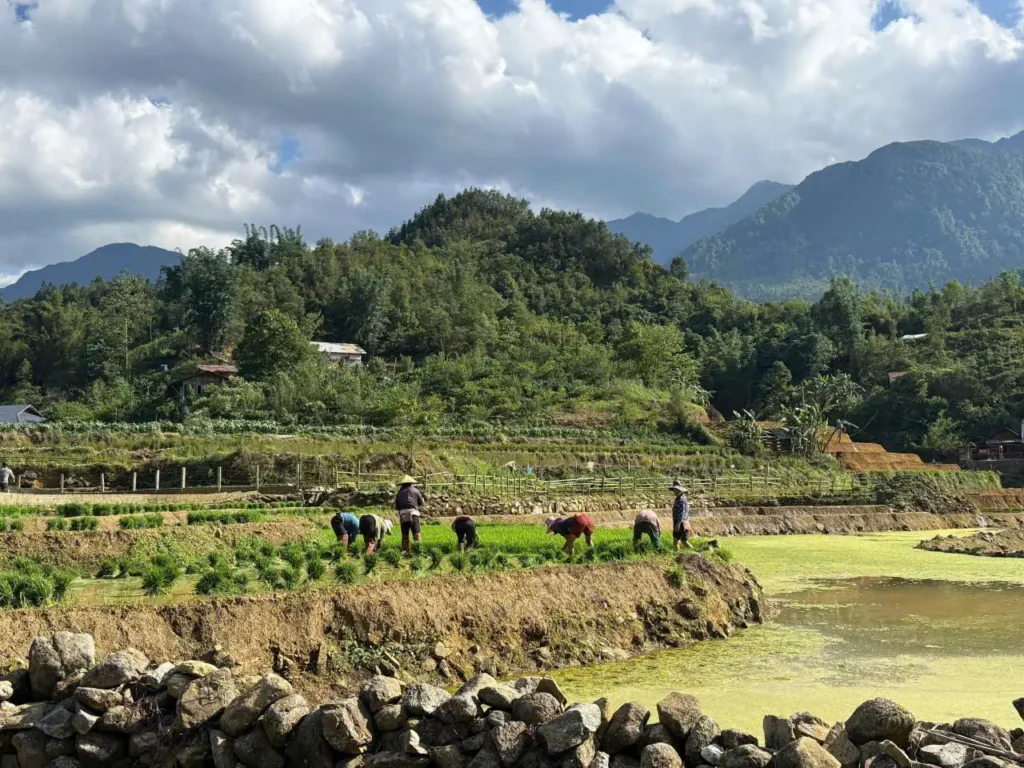 Sapa Tours
