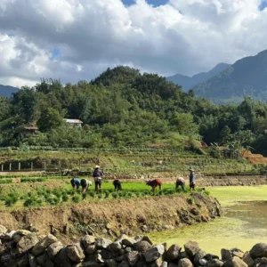 Sapa Tours