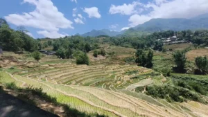 THE SIGNATURE SAPA EXPERIENCE