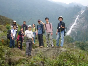 About us