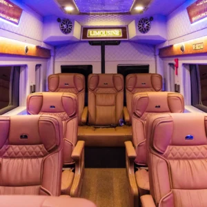Eco Limousine bus