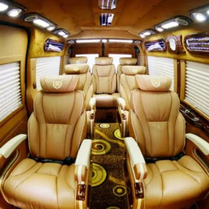 Eco Limousine bus